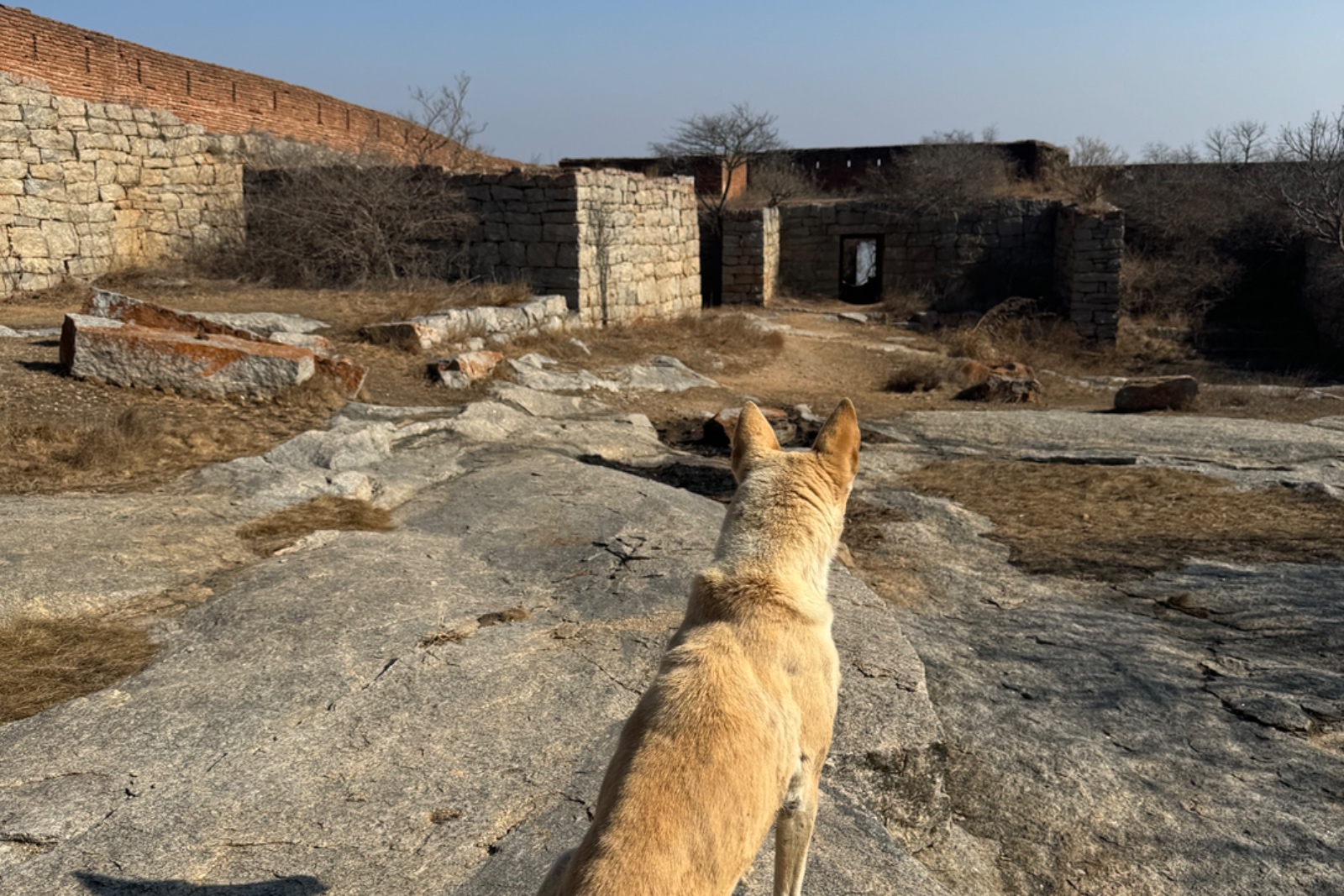 Channarayana Durga Fort Trek - photo 3
